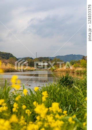 静岡県掛川市幡鎌 天竜浜名湖鉄道と沿線の風景 静岡県掛川市幡鎌 天竜浜名湖鉄道と沿線の風景 128833376