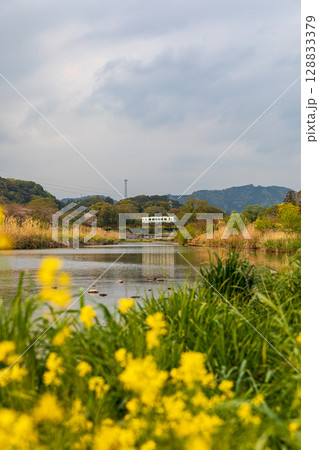 静岡県掛川市幡鎌　天竜浜名湖鉄道と沿線の風景 128833379