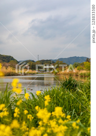 静岡県掛川市幡鎌 天竜浜名湖鉄道と沿線の風景 静岡県掛川市幡鎌 天竜浜名湖鉄道と沿線の風景 128833380