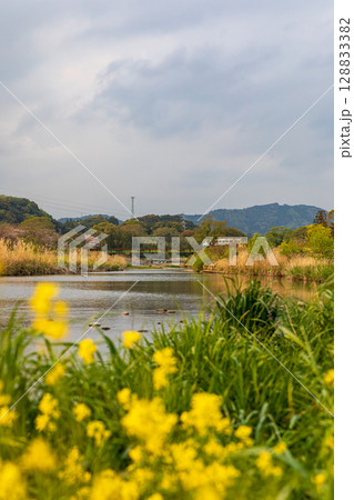 静岡県掛川市幡鎌 天竜浜名湖鉄道と沿線の風景 静岡県掛川市幡鎌 天竜浜名湖鉄道と沿線の風景 128833382