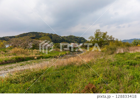 静岡県掛川市幡鎌　天竜浜名湖鉄道と沿線の風景 128833418