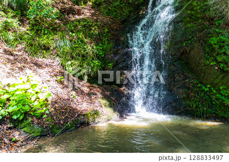 静岡県周智郡森町鍛治島 山里の風景 静岡県周智郡森町鍛治島 山里の風景 128833497