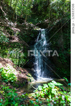 静岡県周智郡森町鍛治島　山里の風景 128833506