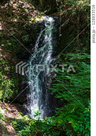 静岡県周智郡森町鍛治島　山里の風景 128833516