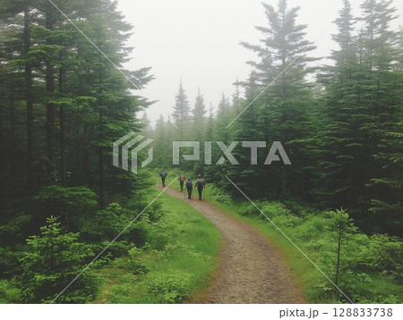 A photorealistic image of a group of friends hiking through a lush green forest 128833738