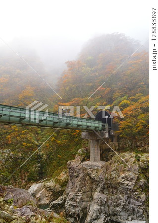 紅葉の赤芝峡(山形県) 紅葉の赤芝峡(山形県) 128833897