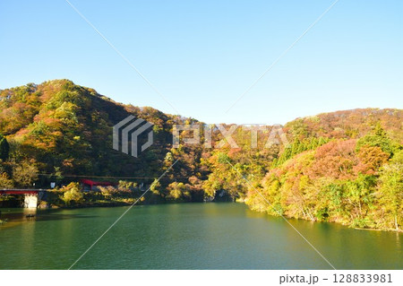 荒川峡もみじライン(新潟県) 荒川峡もみじライン(新潟県) 128833981