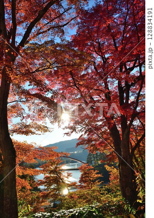 福満虚空蔵尊円蔵寺の紅葉（福島県） 128834191