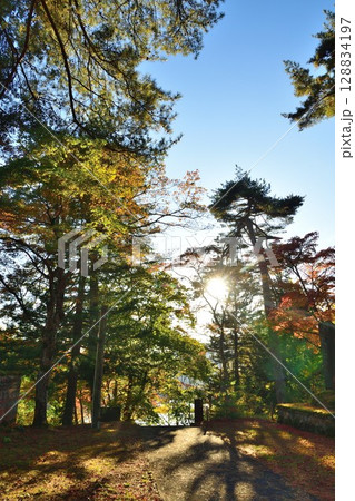 福満虚空蔵尊円蔵寺の紅葉（福島県） 128834197