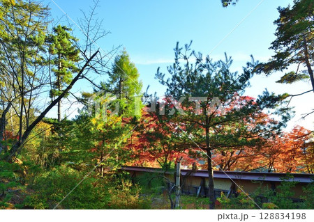 福満虚空蔵尊円蔵寺の紅葉（福島県） 128834198