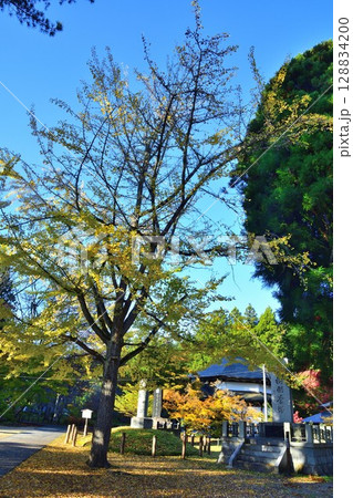 福満虚空蔵尊円蔵寺の紅葉（福島県） 128834200