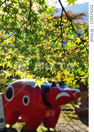 福満虚空蔵尊円蔵寺の紅葉（福島県） 128834202