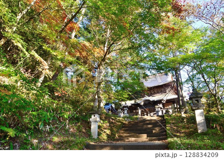 福満虚空蔵尊円蔵寺の紅葉（福島県） 128834209