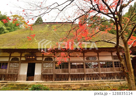 紅葉の種月寺(新潟県) 紅葉の種月寺(新潟県) 128835114