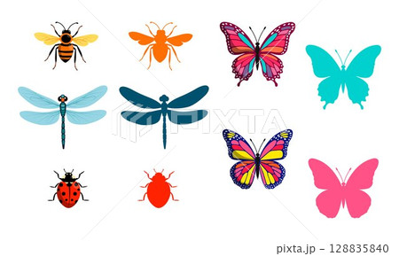 Colorful Insect Collection Colorful Insect Collection 128835840
