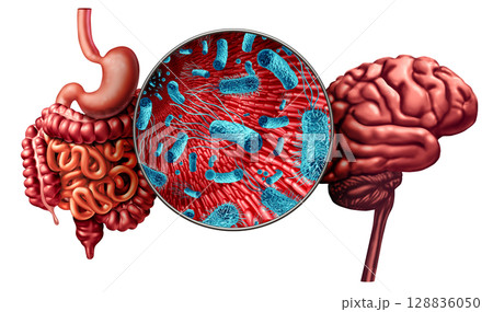 Sixth Sense In The Gut 128836050