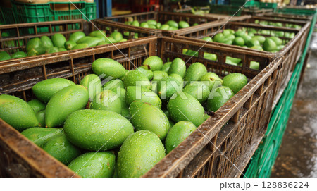 Fresh green mangoes in crates at market, showcasing vibrant and abundant display 128836224