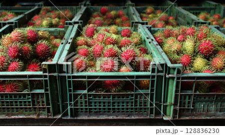 Fresh rambutan fruits in green crates, showcasing vibrant red and green colors, ready for market distribution 128836230