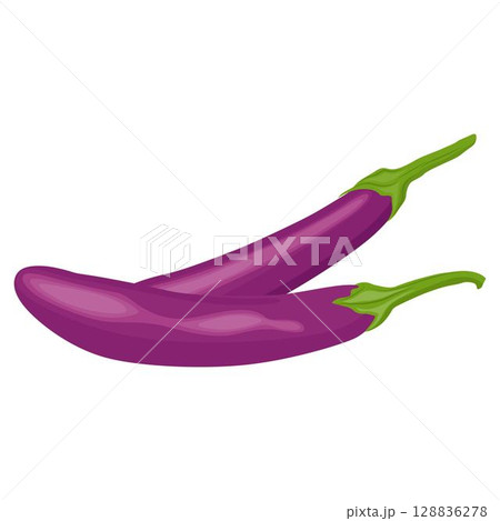 Vector illustration of set eggplants vegetable in cartoon flat style. Bright purple violet of Aubergine Solanum melongena healthy food nutritious isolated in white background. Edible nature for diet 128836278