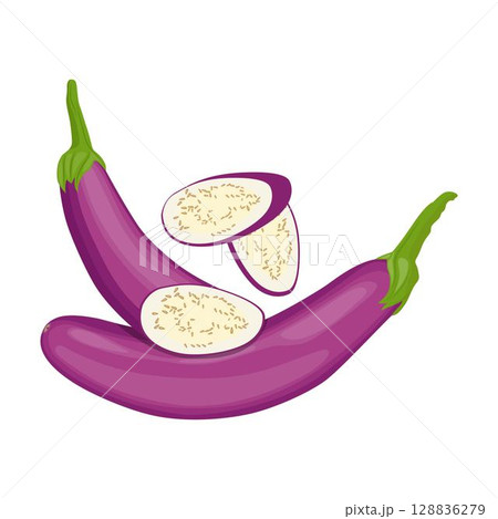 Vector illustration eggplant slice vegetable in cartoon flat style. Aubergine purple fresh, plant food, organic healthy, agriculture brinjal garden. Raw violet eggplant sliced in white background. 128836279
