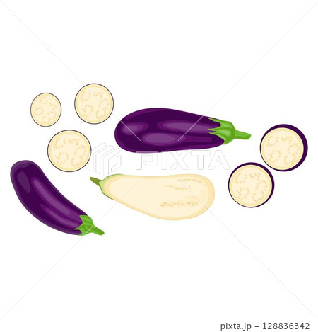 Vector illustration eggplant slice vegetable in cartoon flat style. Aubergine purple fresh, plant food, organic healthy, agriculture brinjal garden. Raw violet eggplant sliced in white background. 128836342
