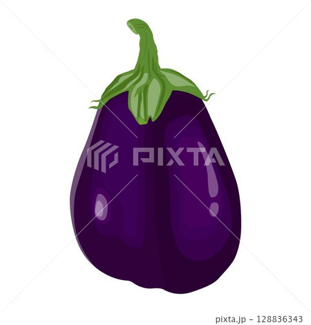 Vector illustration of single eggplant vegetable cartoon flat style. Eggplant isolated on white background. Organic natural food concept designed in purple of violet color. Solanum melongena vegetable 128836343
