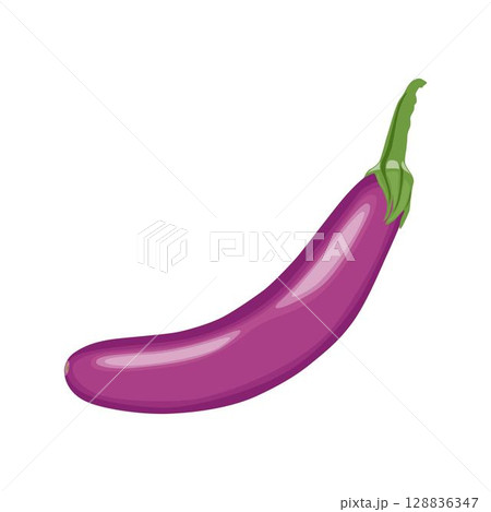 Vector illustration of single eggplant vegetable cartoon flat style. Eggplant isolated on white background. Organic natural food concept designed in purple of violet color. Solanum melongena vegetable Vector illustration of single eggplant vegetable cartoon flat style. Eggplant isolated on white background. Organic natural food concept designed in purple of violet color. Solanum melongena vegetable 128836347