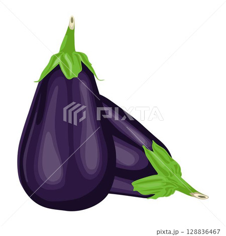 Vector illustration of single eggplant vegetable cartoon flat style. Eggplant isolated on white background. Organic natural food concept designed in purple of violet color. Solanum melongena vegetable Vector illustration of single eggplant vegetable cartoon flat style. Eggplant isolated on white background. Organic natural food concept designed in purple of violet color. Solanum melongena vegetable 128836467