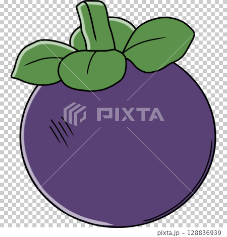 Mangosteen 128836939