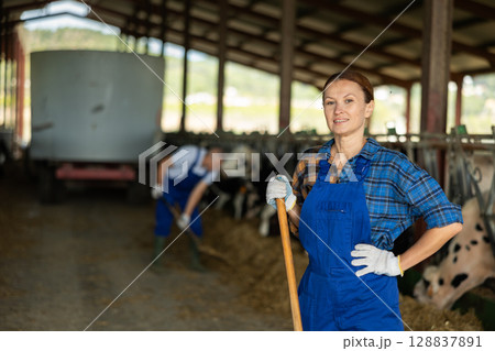 Portrait of woman working on livestock farm posing in cowshed near stall with herd of cows Portrait of woman working on livestock farm posing in cowshed near stall with herd of cows 128837891