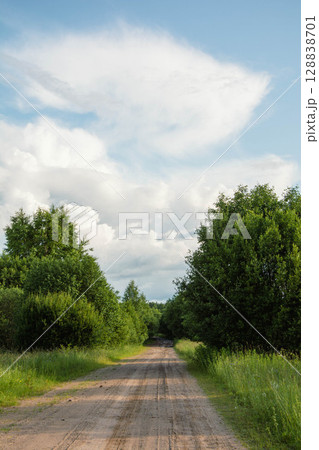Sandy road leading into lush green forest under cloudy sky Sandy road leading into lush green forest under cloudy sky 128838701