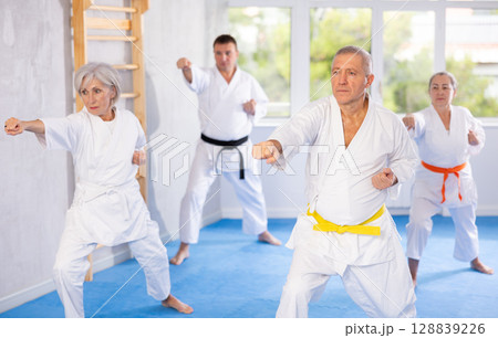 Senior students perform basic movements and repeat to hold pose, learning technique of kata Senior students perform basic movements and repeat to hold pose, learning technique of kata 128839226