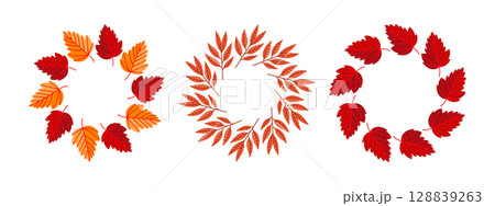 Three beautiful wreaths of vibrant red leaves on a white background 128839263