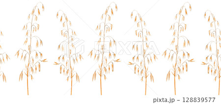 Oat stalks. Hand-painted seamless watercolor border on white background. Perfect for eco-friendly packaging, farm-themed branding, rustic wedding invitations, or organic cereal label designs 128839577