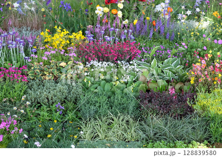 Flowers exposed on Floraart, 51 international garden exhibition in Zagreb Flowers exposed on Floraart, 51 international garden exhibition in Zagreb 128839580