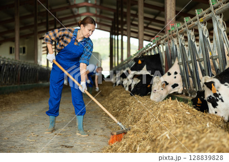 Adult woman sweeping hay in cowshed 128839828