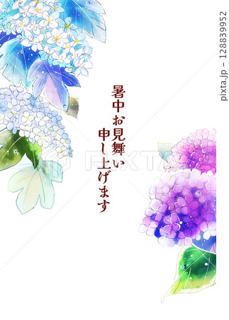 雨上がりの紫陽花　暑中お見舞い　縦　ハガキサイズ 128839952