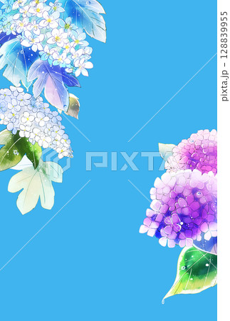 雨上がりの紫陽花　縦　ハガキサイズ 128839955