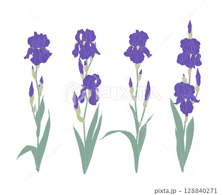 Simple Iris Garden Flowers Set Simple Iris Garden Flowers Set 128840271