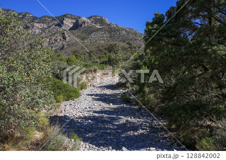 Rocky Hiking Path Leading Through Lush Greenery in Mountainous Terrain Rocky Hiking Path Leading Through Lush Greenery in Mountainous Terrain 128842002