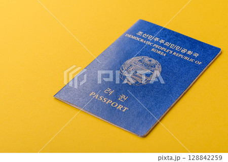 North Korean International Passport for Global Business 128842259