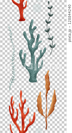 Vibrant and Colorful Coral along with Artistic Seaweed Illustrations for Marine Themes 128844240