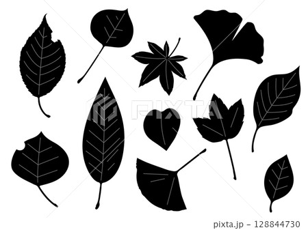 シンプル・フラットな秋の葉っぱセット シンプル・フラットな秋の葉っぱセット 128844730