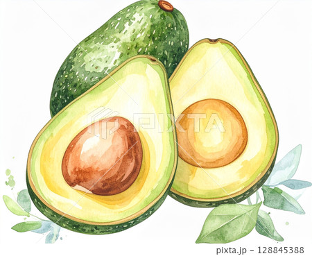 水彩で描いたアボカドのイラスト 水彩で描いたアボカドのイラスト 128845388