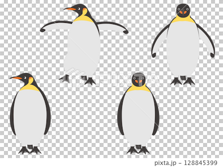 正面を向いて歩いたり羽ばたくコウテイペンギンのイラストのセット 128845399