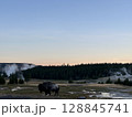 朝日と共に現るバイソン 128845741