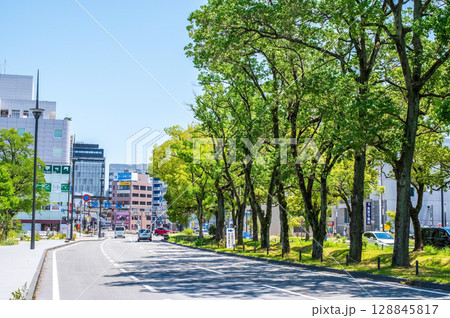 『街風景』オフィス通りと街路樹（三重県 四日市市 近鉄四日市駅西中央通り） 128845817