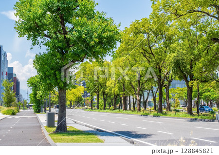 『街風景』オフィス通りと街路樹(三重県 四日市市 近鉄四日市駅西中央通り) 『街風景』オフィス通りと街路樹(三重県 四日市市 近鉄四日市駅西中央通り) 128845821