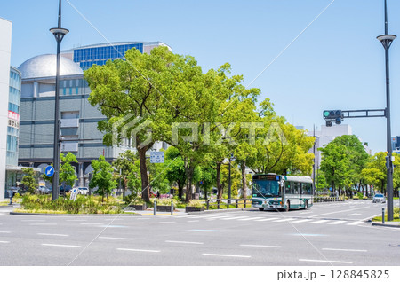 『街風景』オフィス通りと街路樹(三重県 四日市市 近鉄四日市駅西中央通り) 『街風景』オフィス通りと街路樹(三重県 四日市市 近鉄四日市駅西中央通り) 128845825