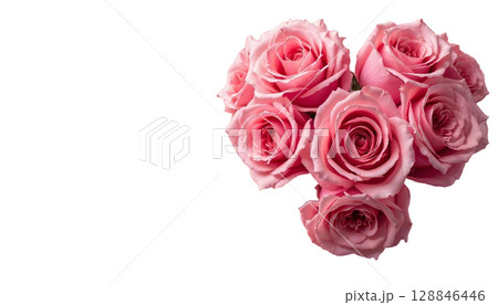 A pink rose with petals on a coordinating transparent background, reflecting the essence of love for mothers and women 128846446